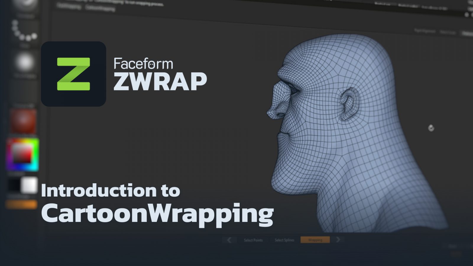 Introduction to Cartoon Wrapping in ZWrap